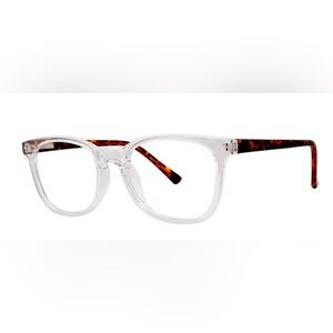 Clear and Tortoise Glasses- unisex